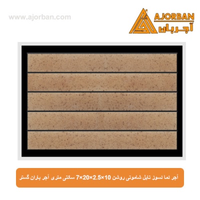 آجر نما نسوز (پلاک) تایل شاموتی روشن 7x20x2.5x10 سانتی متری آجر باران گستر