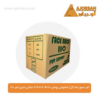 آجر نسوز نما (ال) شاموتی روشن 7x20x2.5x10 سانتی متری آجر 110