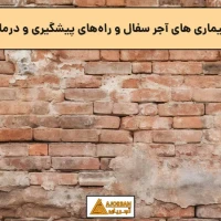 آشنایی با بیماری های آجر سفال و راه‌های پیشگیری و درمان آنها