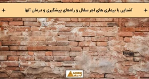 آشنایی با بیماری های آجر سفال و راههای پیشگیری و درمان آنها